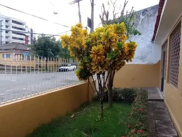 Imagem 2: Casa para Aluguel Tem 235 Metros Quadrados com 3 Quartos em Farol - Maceió - Alagoas