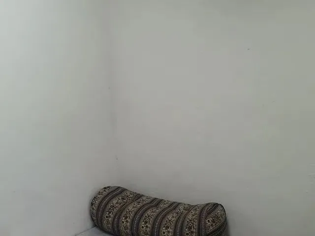 Imagem 4: Aluguel de Quarto Individual