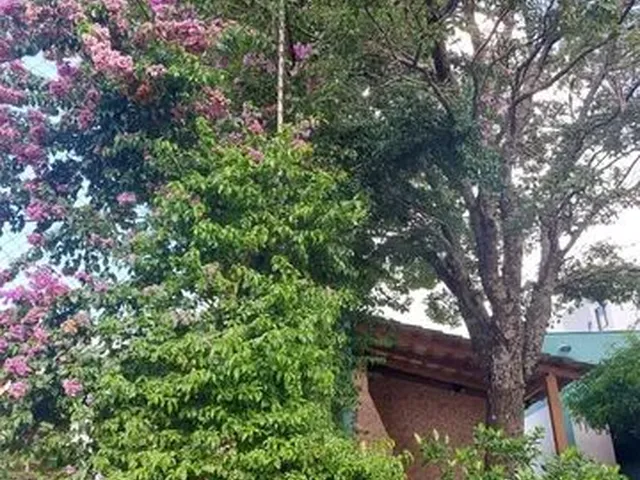 Imagem: Alugo Apartamento 2 Quartos