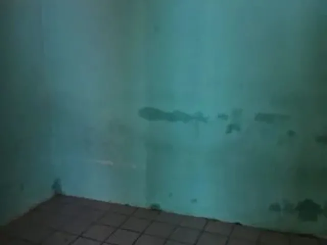 Imagem 2: Casa para Alugar