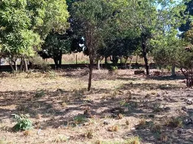 Imagem: A fazenda possui 25.000m² de Área e está localizado em