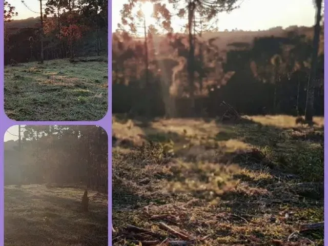 Imagem: Ev.chácara com Acesso a Nascente !