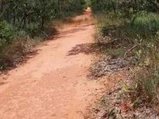 Imagem 1: Gleba 314 Hectares,Escriturada,Geo Referenciada...potencial Pastagem e Eucaliptoss