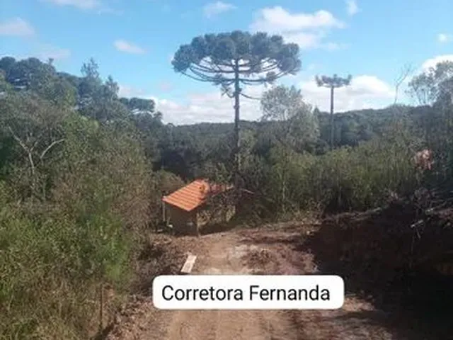 Imagem 4: Ótima Chácara Completa