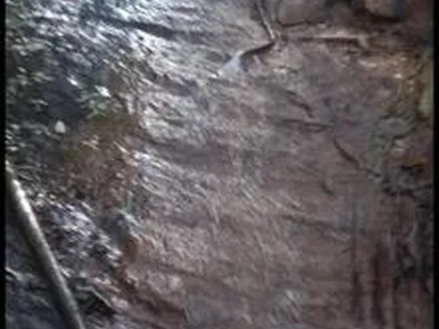 Imagem: Chacara,Com Cachoeira,Itr Ok,Garrafão,Base
