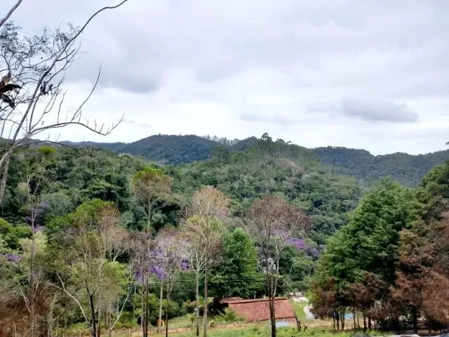 Imagem: Terreno 5.000 M². Condomínio Fechado em