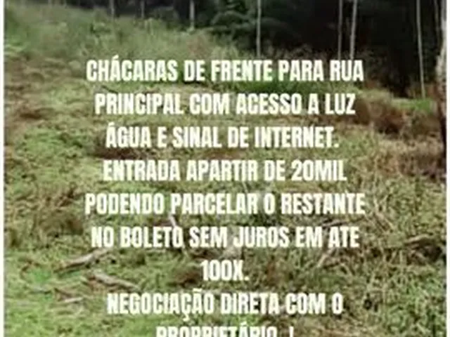 Imagem: Eva -Melhor Investimento da Sua Vida