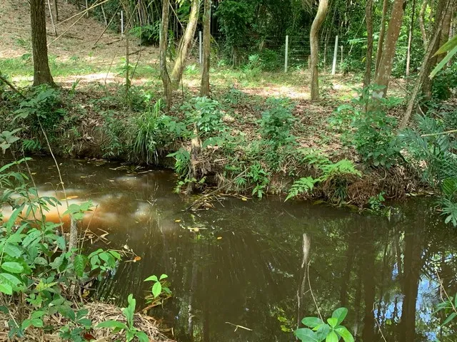 Imagem: Lindo Terreno em Aldeia