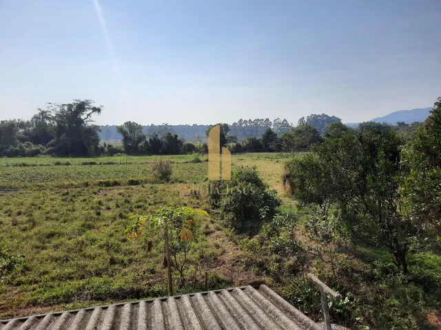 Imagem 4: Belíssima Chácara à Venda Rio Novo em Itajaí