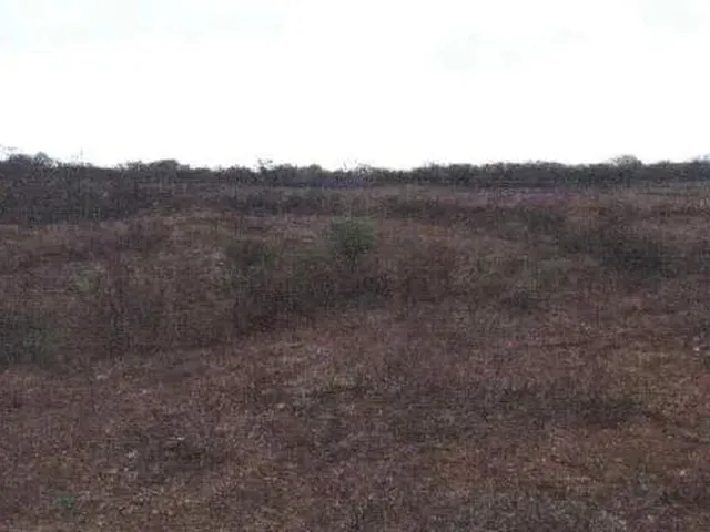 Imagem 2: Serra Talhada - Terreno Padrão - Tancredo Neves