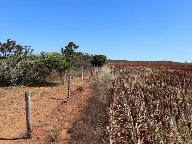 Imagem 4: Chácaras em Anápolis - Próximo Ao Daia