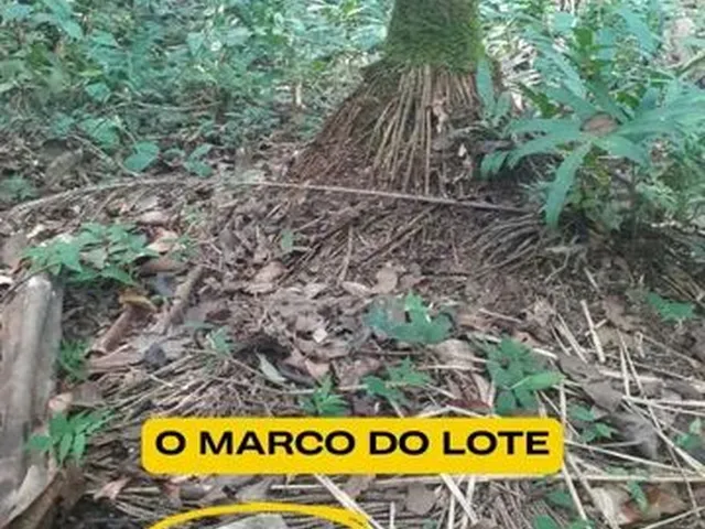 Imagem 2: Um Ótimo Terreno Medindo 30 M X 100 M (3000 M²)