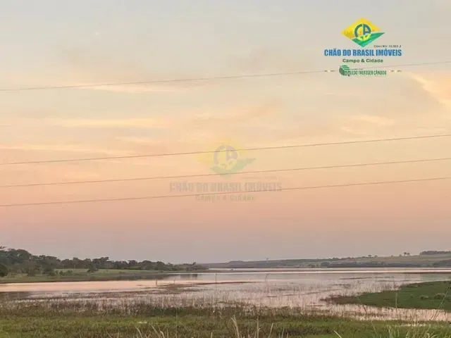 Imagem: A fazenda possui 5m² de Área e está localizado em Linha