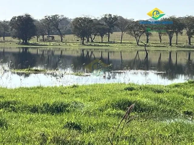 Imagem 4: Aparecida do Taboado - Rural - Área Rural de Aparecida do Taboado Ms