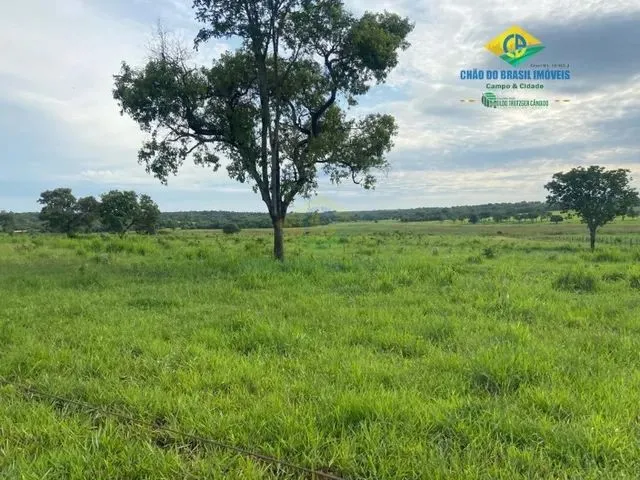 Imagem 5: Aparecida do Taboado - Rural - Área Rural de Aparecida do Taboado Ms