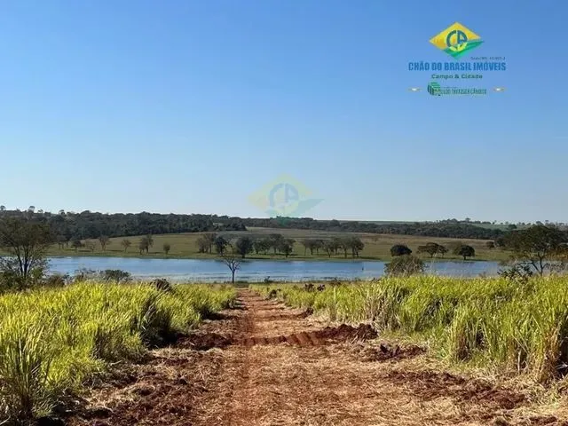 Imagem 3: Aparecida do Taboado - Rural - Área Rural de Aparecida do Taboado Ms