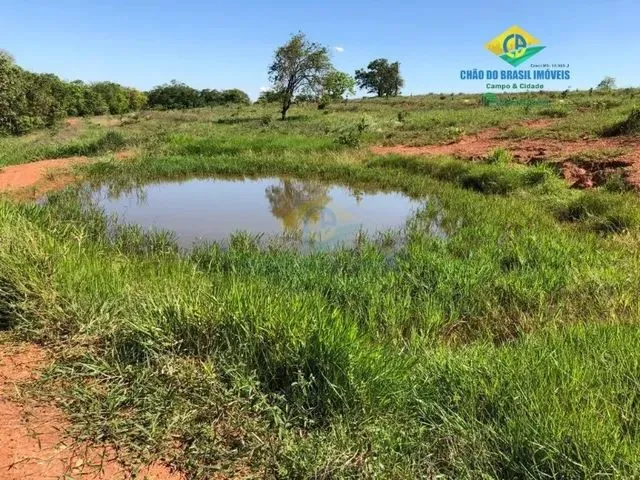 Imagem 2: Aparecida do Taboado - Rural - Área Rural de Aparecida do Taboado Ms