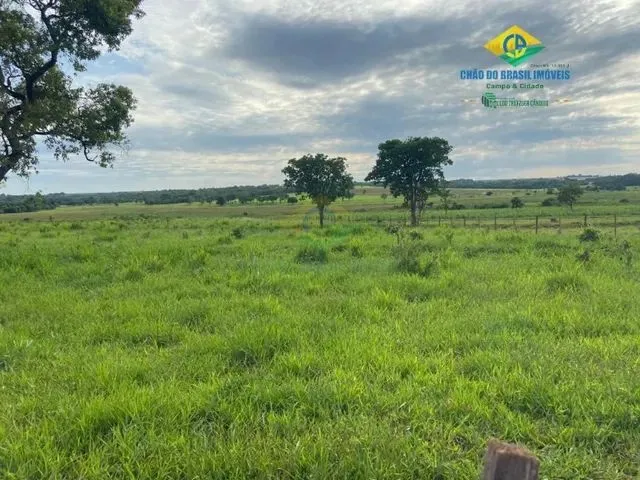 Imagem 6: Aparecida do Taboado - Rural - Área Rural de Aparecida do Taboado Ms