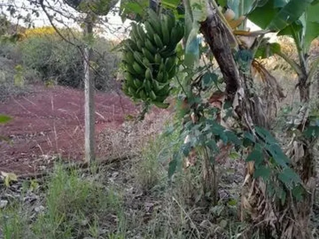 Imagem 2: Lote no Portal das Flores 950M