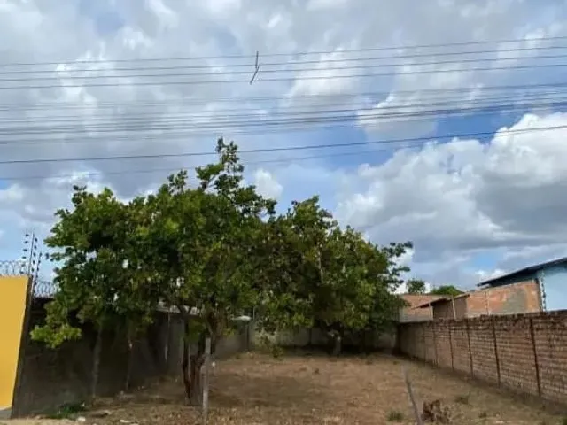 Imagem 2: Ótimo Terreno no Bairro Centenário