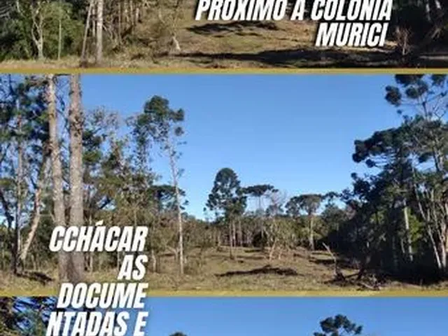 Imagem: Eva - Venha Realizar Seu Sonho !