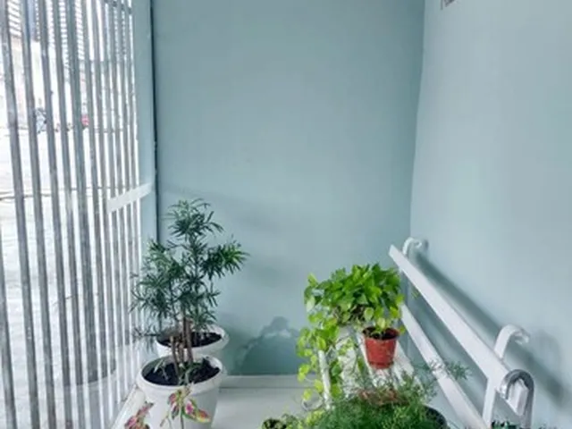 Imagem 4: Vendo 2 Casas no Mesmo Terreno- Cremação