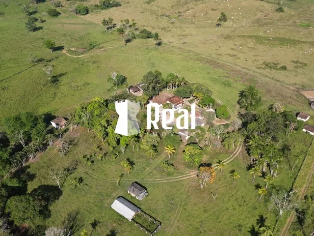 Imagem: Fazenda Mata de São João - 70km de Salvador