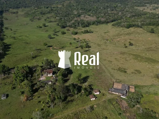 Imagem 14: Fazenda Mata de São João - 70km de Salvador