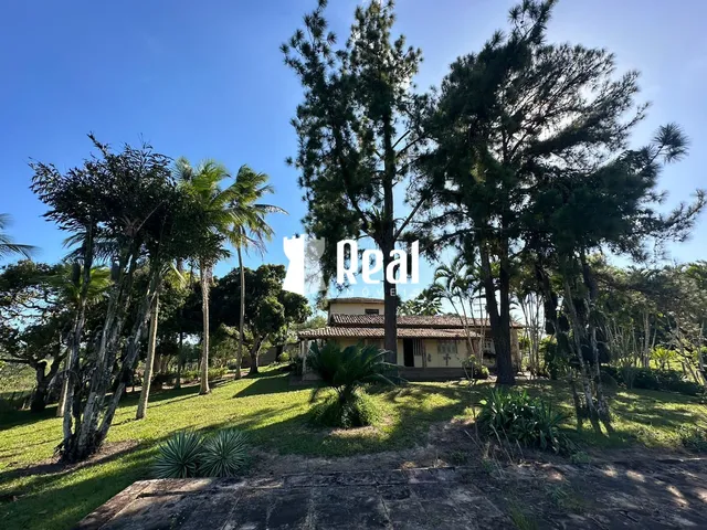 Imagem 15: Fazenda Mata de São João - 70km de Salvador