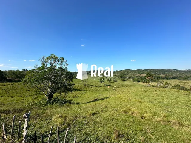 Imagem 4: Fazenda Mata de São João - 70km de Salvador