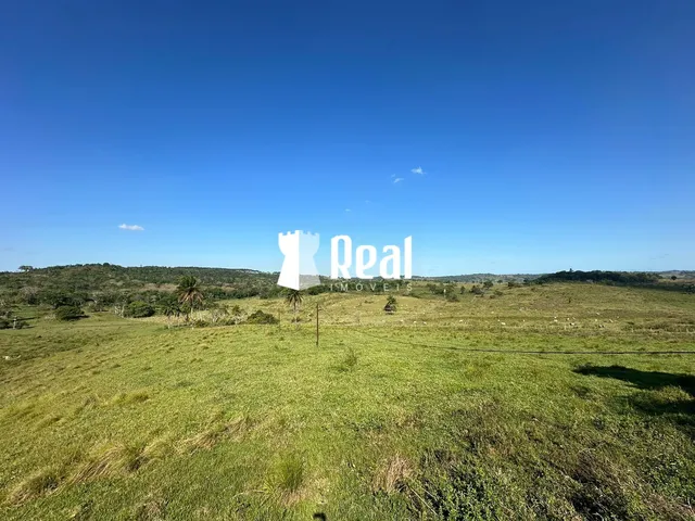 Imagem 7: Fazenda Mata de São João - 70km de Salvador