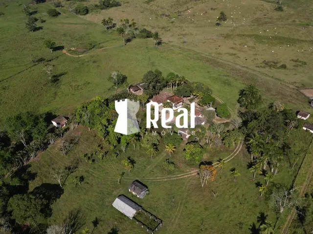 Imagem 12: Fazenda Mata de São João - 70km de Salvador