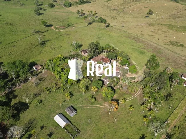 Imagem 9: Fazenda Mata de São João - 70km de Salvador
