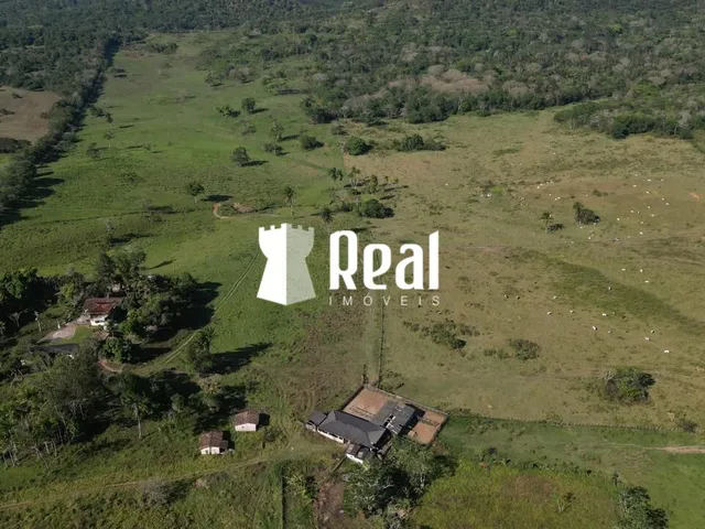 Imagem 3: Fazenda Mata de São João - 70km de Salvador