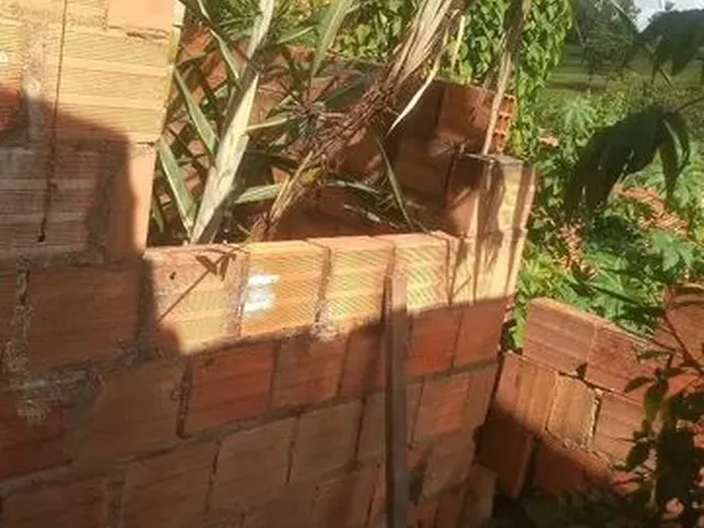 Imagem 6: Casa no Nova Olaria