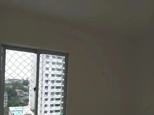 Imagem 6: Excelente Apartamento no Cabula