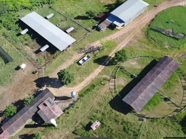 Imagem: Fazenda em Minas Gerais - Unaí 252Ha