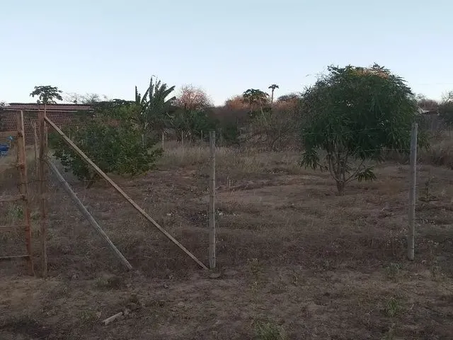 Imagem 1: Vendo Terreno na Ponta da Serra