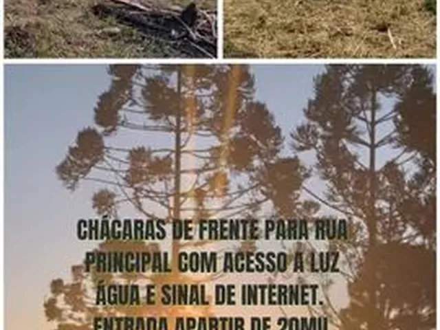 Imagem: Eva Ótima -Oportunidade para Você