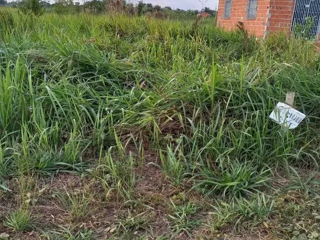 Imagem: Vendo Um Terreno