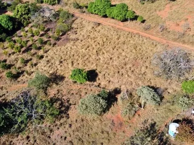 Imagem: Fazenda com Terra de Cultura Boa e com Lagoa