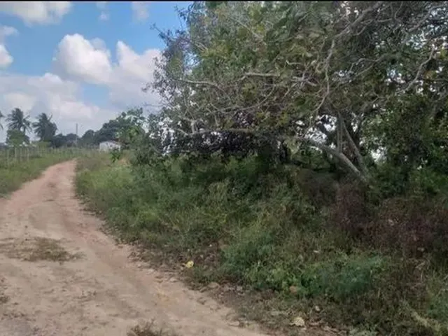 Imagem: Sitio