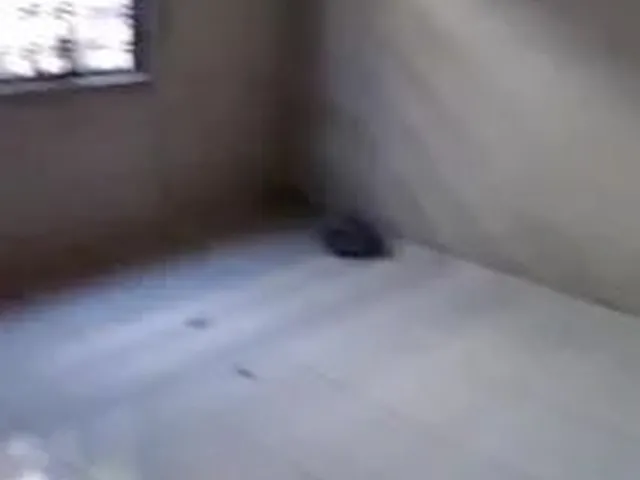 Imagem: Casa de Aluguel