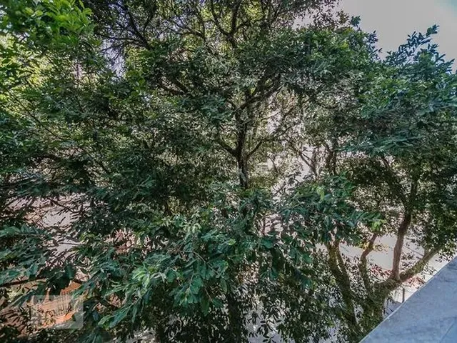 Imagem 14: Apartamento para Aluguel - Ingá, 2 Quartos, 125 M2