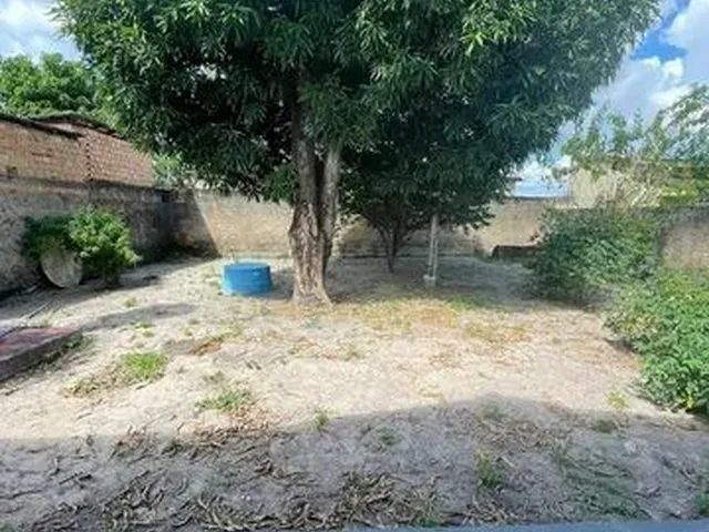 Imagem 16: Alugo Casa no Liberdade