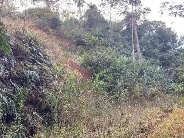 Imagem: Juiz de Fora - Terreno Padrão
