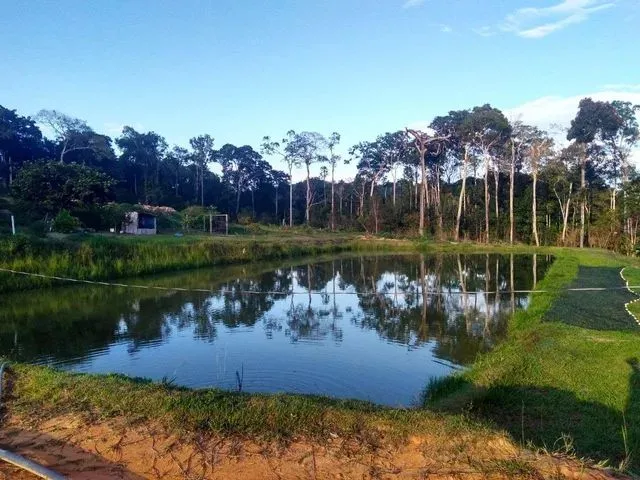 Imagem: Alugo Tanque