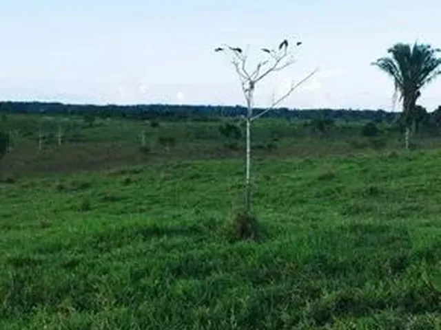 Imagem: O terreno possui 30m² de Área e está localizado em
