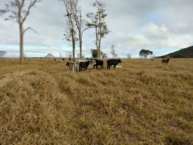 Imagem 5: Arrendo Área para Agricultura
