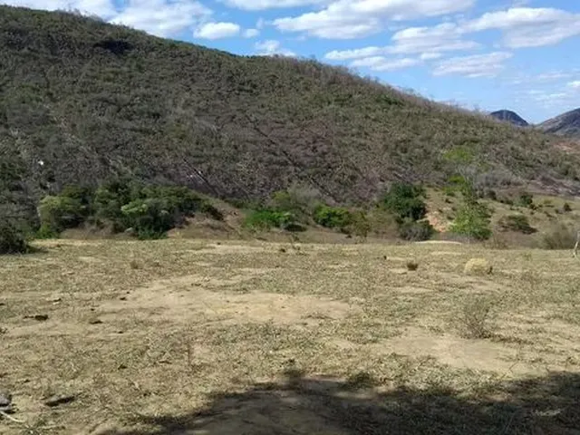 Imagem 4: Arrendo Área para Agricultura
